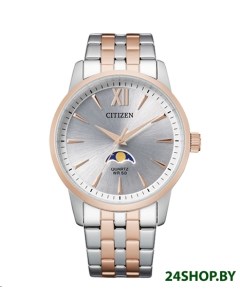 Наручные часы AK5006 58A Citizen