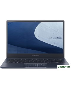 Ноутбук ExpertBook B5 B5302CBA EG0244X Asus