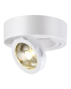 Накладной потолочный светильник RAZZO 357704 10Вт 3000К IP33 LED белый Novotech