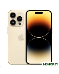 Смартфон iPhone 14 Pro Max 256GB золотистый Apple