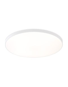 Светильник подвесной (LED) FZ1223 WH белый IP44 D455мм. (43Вт, 4200K) Ambrella