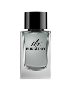 Mr 150 Burberry