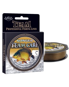 Леска TEAM CARP 250 350 м 0 25 мм Konger