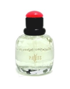 YSL Paris Yves saint laurent