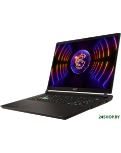 Игровой ноутбук Vector GP78HX 13VI 448BY Msi