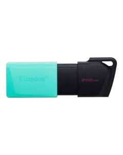 Флэш накопитель Kingston DataTraveler Exodia M 256GB (DTXM/256GB)