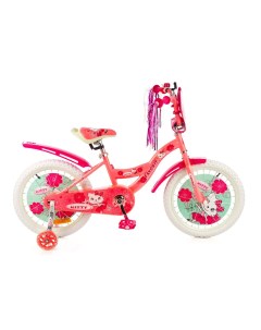 Велосипед детский Kitty KIT 18RS Favorit
