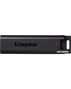 USB Flash DataTraveler Max 1TB Kingston