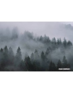 Фотообои Лес в тумане 7 270x400 Vimala