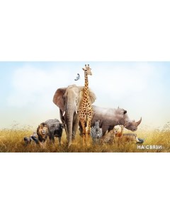 Фотообои Африканские звери 485270 500x270 Фабрикафресок