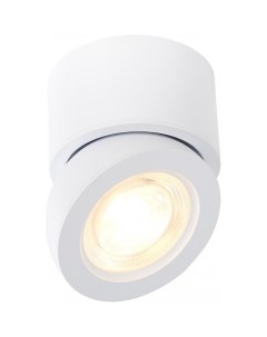 Спот ST654 ST654 532 10 St luce