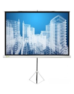 Проекционный экран Triscreen CS PST 124x221 Cactus