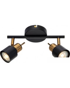 Спот Almach A1906PL 2BK Arte lamp