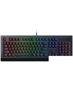 Клавиатура Cynosa v2 Razer