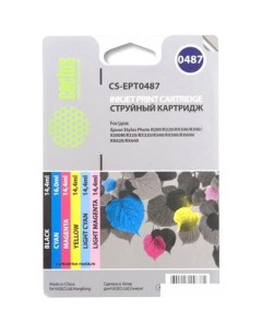 Картридж CS-EPT0487 Cactus