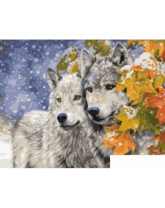 Картина по номерам Два волка 40x50 VA 1642 Colibri