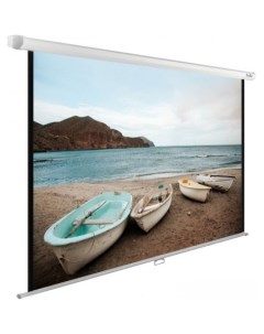 Проекционный экран WallExpert 240x240 CS-PSWE-240x240-WT Cactus