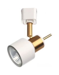 Трековый светильник Almach A1906PL-1WH Arte lamp