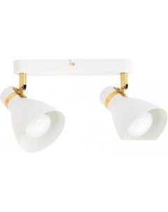 Спот Fafnir A5047PL 2WH Arte lamp