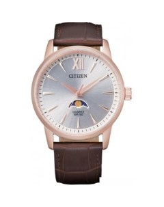 Наручные часы AK5003 05A Citizen