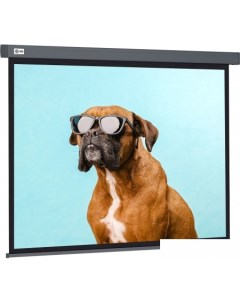 Проекционный экран Wallscreen 149x265 CS-PSW-149X265-SG Cactus