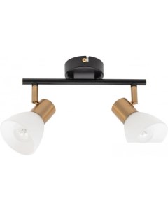 Спот Falena A3117PL 2BK Arte lamp