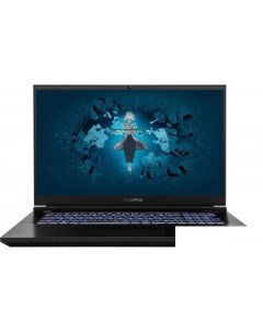 Игровой ноутбук Evol X17 Pro Max A10003400459 Colorful