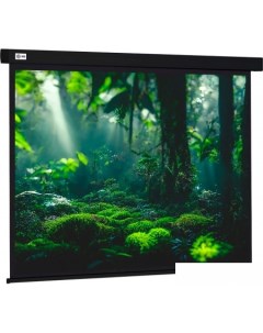 Проекционный экран Wallscreen 213x213 CS-PSW-213X213-BK Cactus