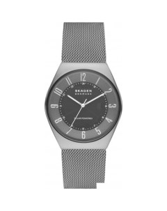 Наручные часы Grenen SKW6836 Skagen