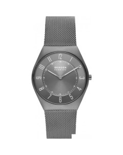 Наручные часы Grenen SKW6824 Skagen