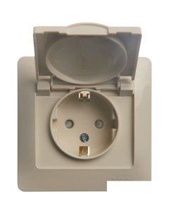 Розетка Glossa GSL000246 бежевый Schneider electric