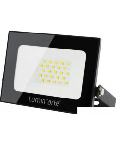 Уличный прожектор LFL 20W 05 Luminarte