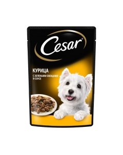 Влажный корм для собак Cesar