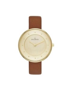 Часы наручные женские Skagen