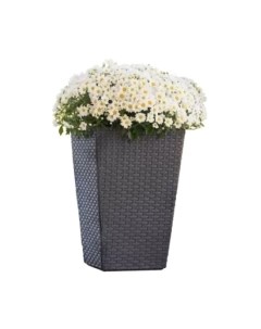 Кашпо Medium Rattan Planter / 228974 Keter