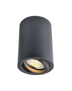 Точечный светильник Sentry A1560PL-1BK Arte lamp