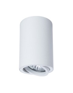 Точечный светильник Sentry A1560PL-1WH Arte lamp