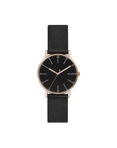 Часы наручные мужские Skagen