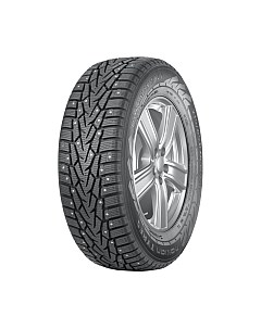 Зимняя шина Nokian tyres