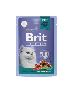 Влажный корм для кошек Brit