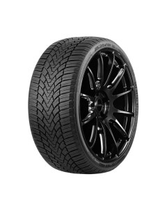 Зимняя шина Winmaster ProX ARW3 255/45R19 104H Arivo