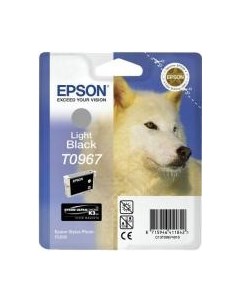 Картридж Epson