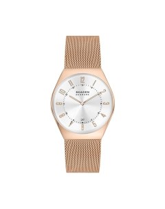 Часы наручные мужские Skagen