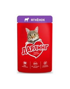 Влажный корм для кошек Darling