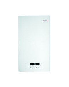 Газовый котел Protherm