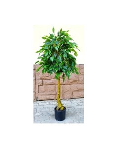 Искусственное растение Ficus Topiary / BF01692 Forgarden