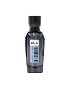 Парфюмерная вода Essence of the World Scandinavia Dilis parfum