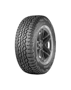 Летняя легкогрузовая шина Nokian tyres