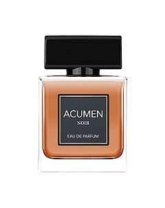 Парфюмерная вода Acumen Noir for Men Dilis parfum