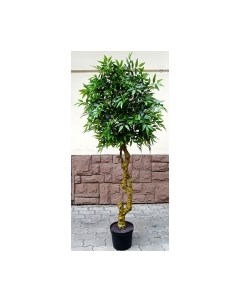 Искусственное растение Дерево Ficus French / FGN BF01687 Forgarden